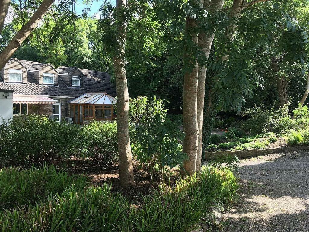 Bedrock Lodge Winterbourne Exteriör bild